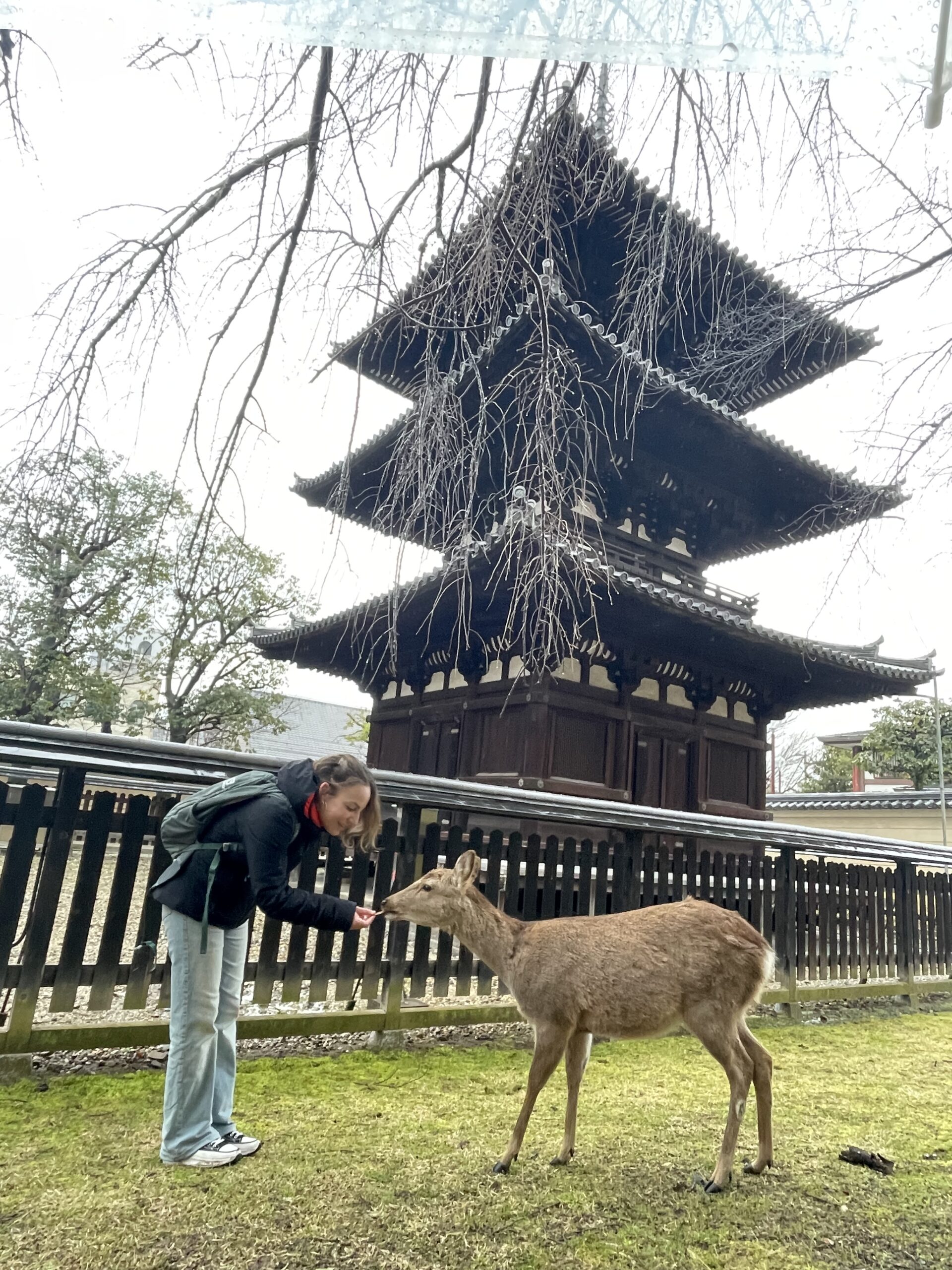 snow monkey temple